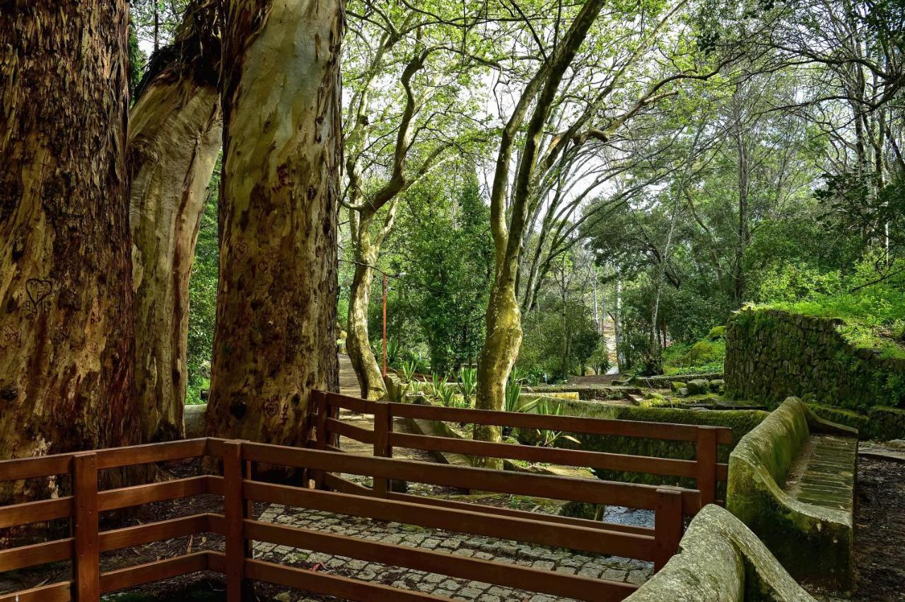Central Monchique Hotel - Villa Termal Spa Resort - By Unlock Hotels ภายนอก รูปภาพ